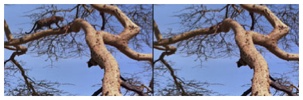 Image 5-3