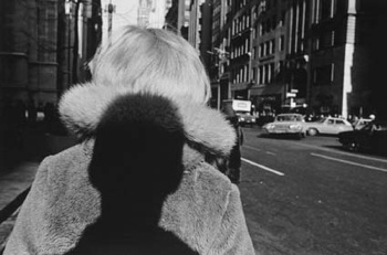 Friedlander2