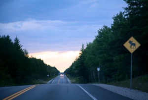 Picture-82